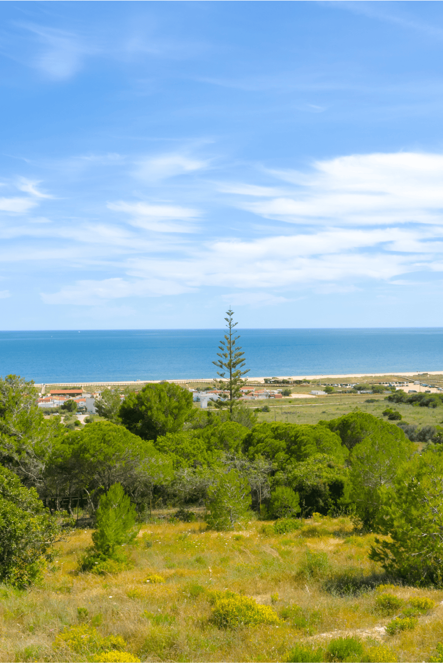 Paisagem natural com vista privilegiada para o oceano e pinheiros típicos do Algarve, inserida no ambiente exclusivo do resort Palmares Living.