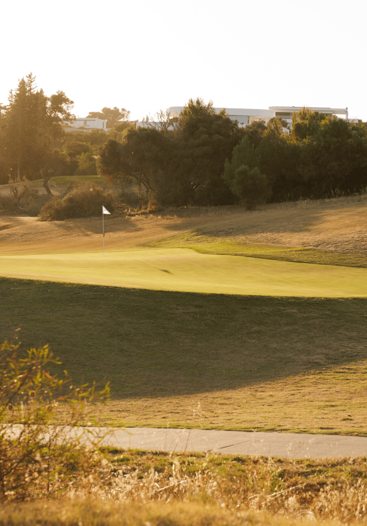 Campo de golfe no Palmares ao final da tarde, com luz dourada a iluminar o green e vegetação envolvente típica do Algarve.