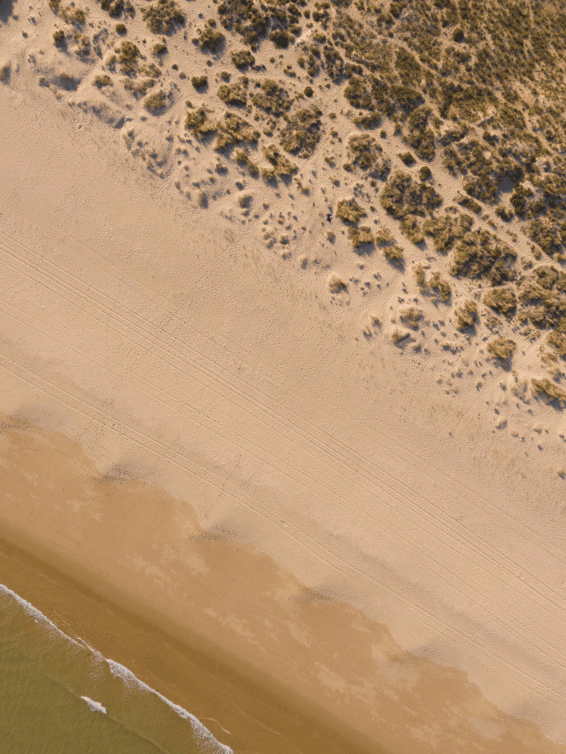 Vista aérea das dunas da Meia Praia com marcas na areia e vegetação costeira, transmitindo a tranquilidade natural que rodeia o resort Palmares.