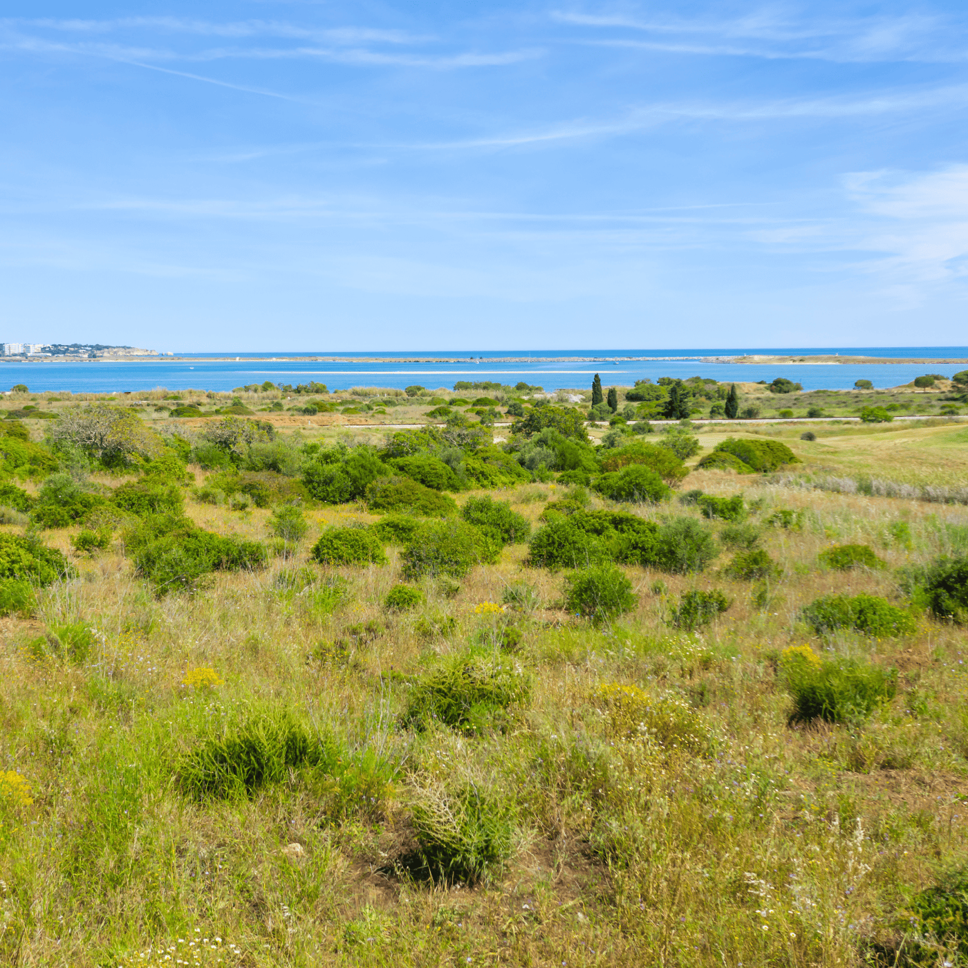 Terrenos com vista panorâmica para o mar em Palmares, Algarve.